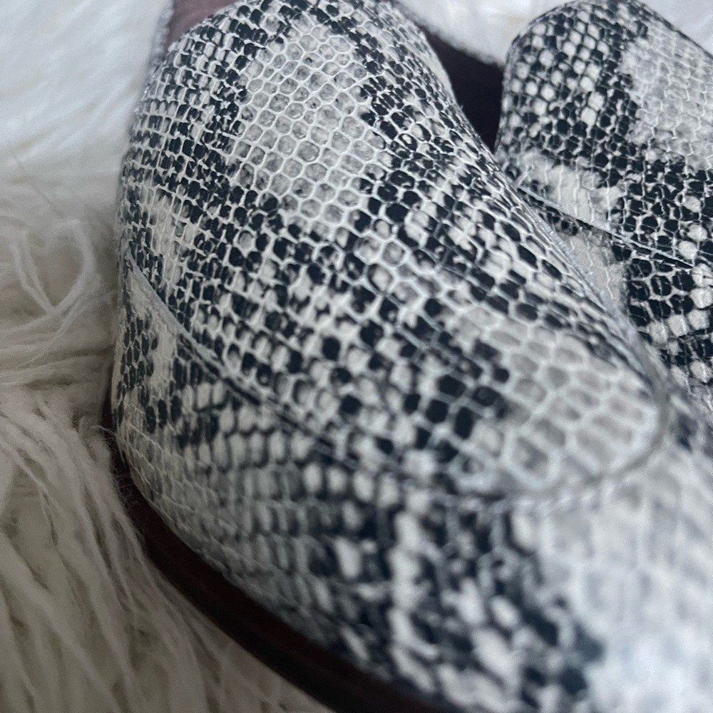 Chelsea & Violet Shoes - Picture 7 of 9